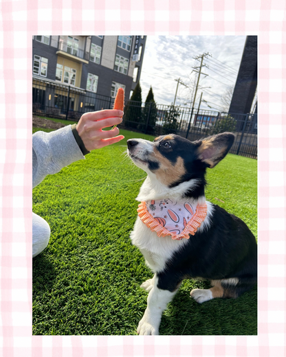 Hop and Flop Bandana